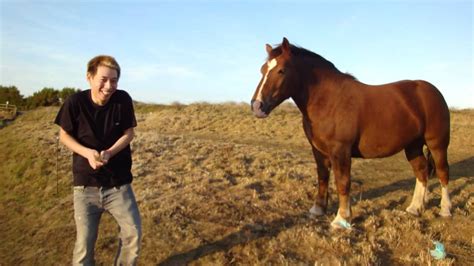 2 guys 1 horse video